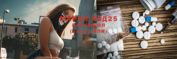 ПСИЛОЦИБИНОВЫЕ ГРИБЫ Костерёво