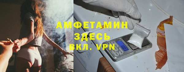 трава Корсаков