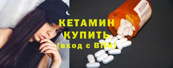 трава Корсаков