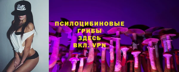 ПСИЛОЦИБИНОВЫЕ ГРИБЫ Костерёво