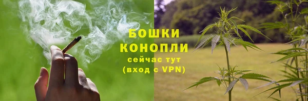 ALPHA PVP Коряжма