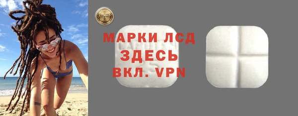трава Корсаков