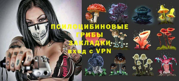 ALPHA PVP Коряжма