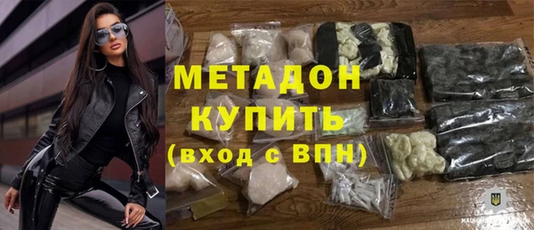 трава Корсаков