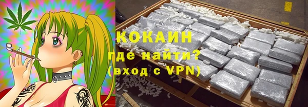 трава Корсаков