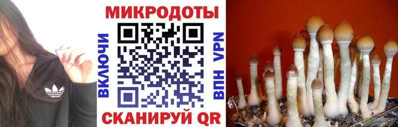 Купить где  Заводоуковск  Псилоцибиновые грибы прущие грибы 
